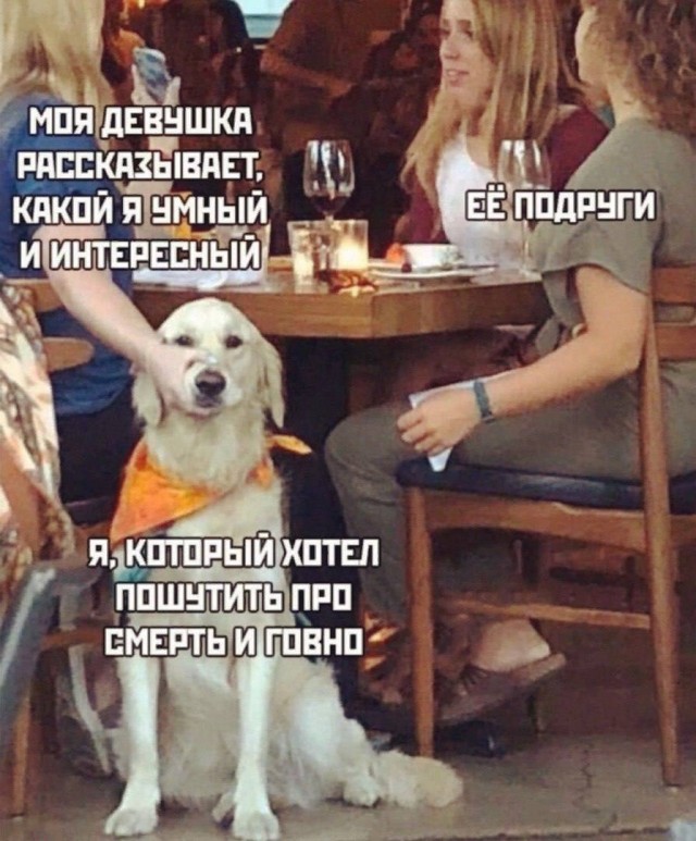Картинки аморальные и всякие разные - 23