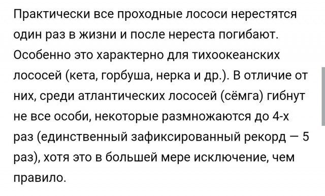 Настоящий рыбий роддом