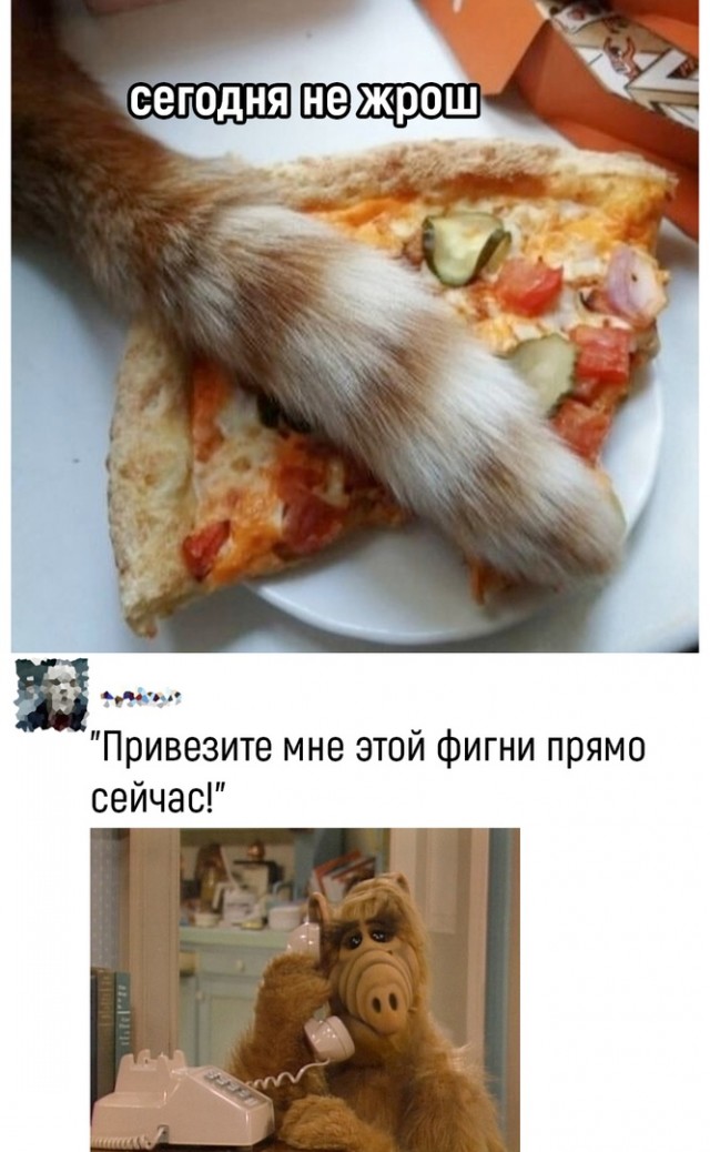 Так себе картинки 26.06.22