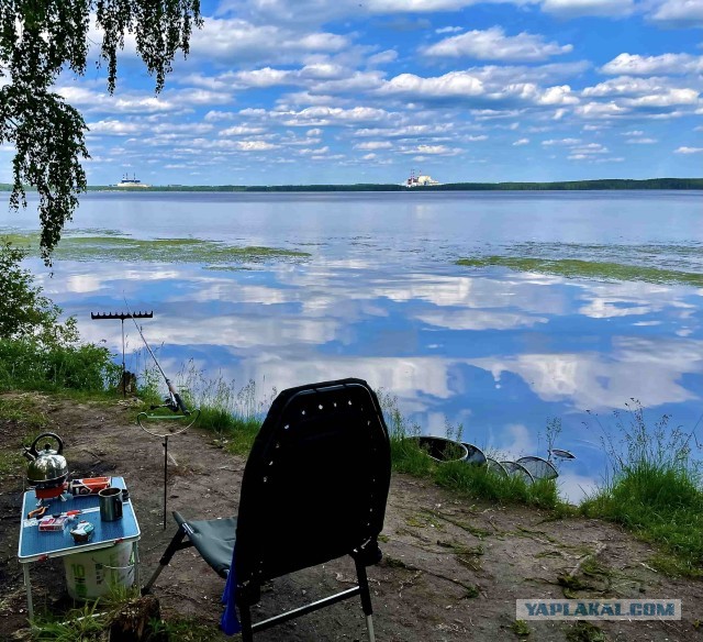 Кулинарная общалка