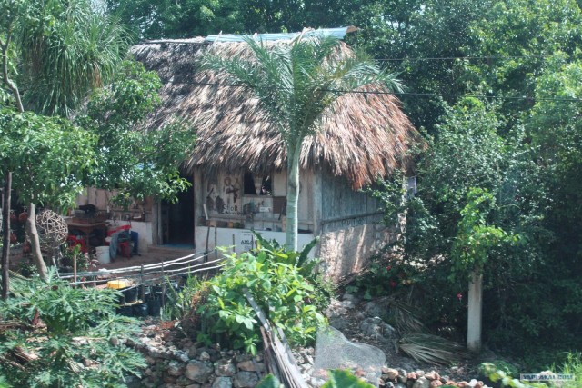 Поездка в Мексику (за деньги)