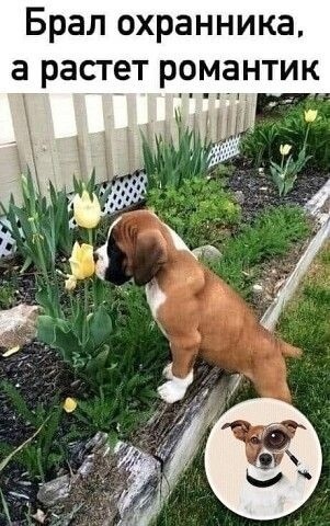 Так себе картинки 09.10.22