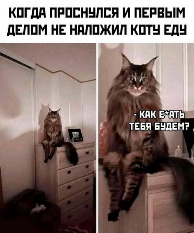 Картинки и мемы, всем хороших выходных