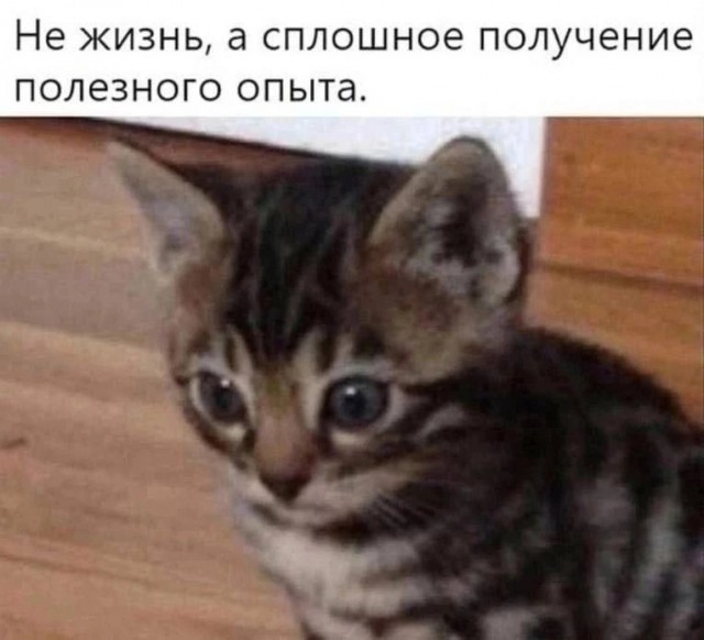 Нуштош 28.02.23