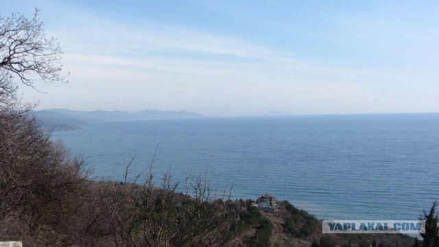 Крым в феврале или "Не стреляйте в белых лебедей!"