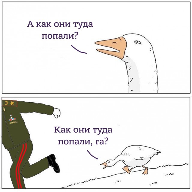 Шойгу объяснил зачем ведётся СВО