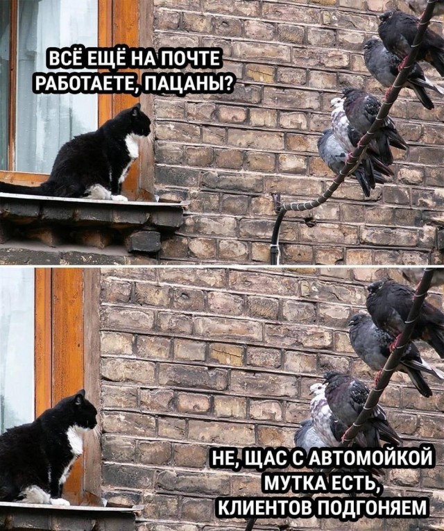 Весёлый полтишок 28.09.23