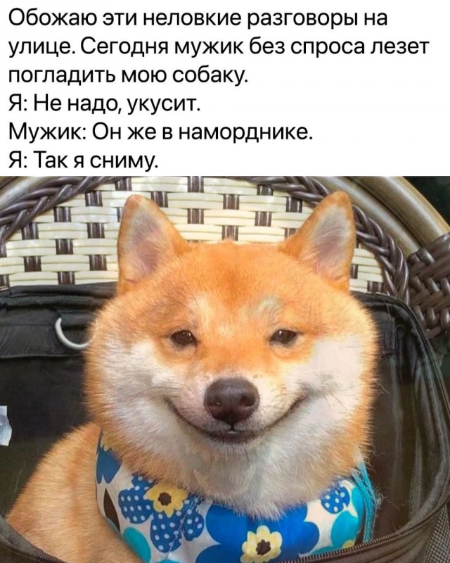 Так себе картинки 02.11.23