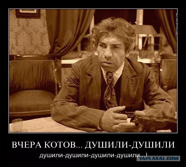 Бездомные коты: посоветуйте, как поступить, пожалуйста
