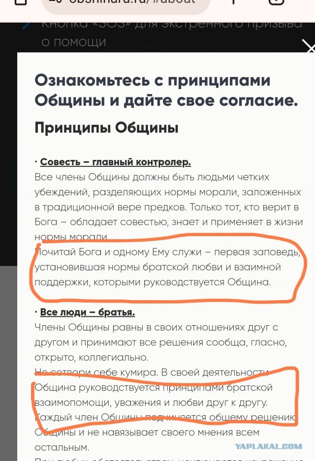 Одна картина  и множество размышлений