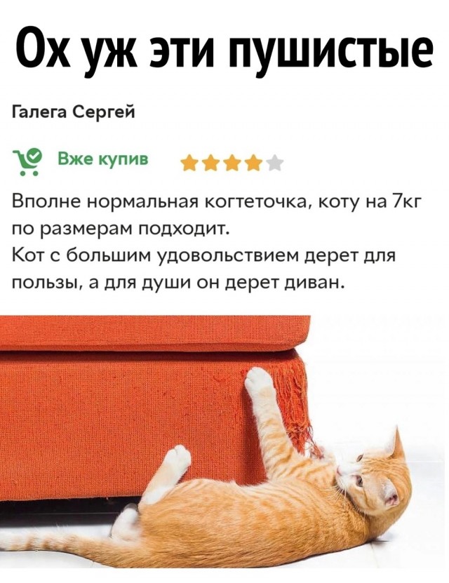 Забавные картинки, шутки из этих ваших интернетов
