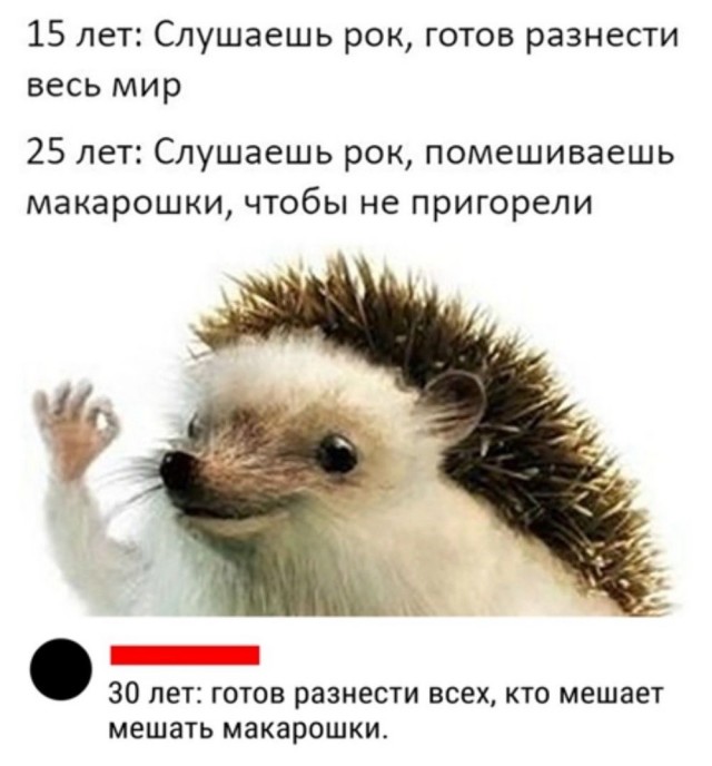 Завалялось тут случайно немного забавных картинок