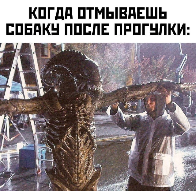 Завалялось тут случайно немного забавных картинок