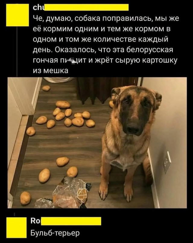 Если чувствуешь недомогание