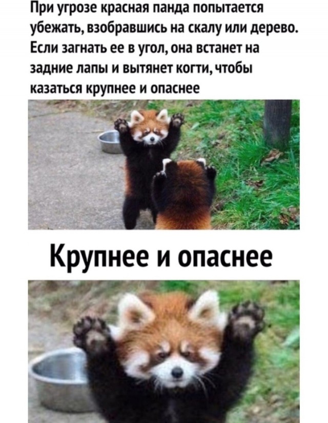 Завалялось тут случайно немного забавных картинок