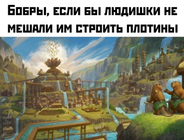 Так себе картинки 20.05.25