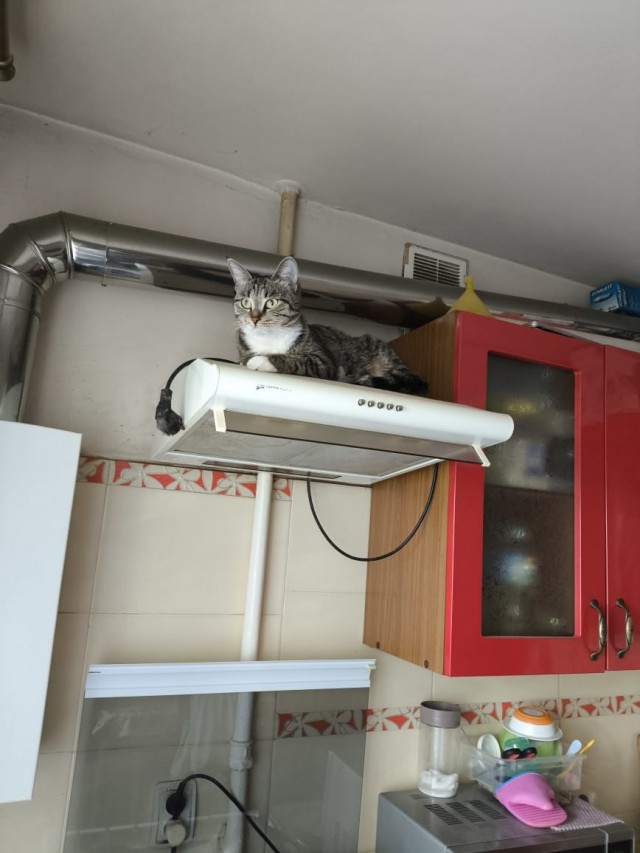 Моя Муся всегда на высоте!