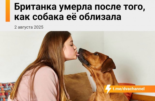 Собачники, это не учебная тревога