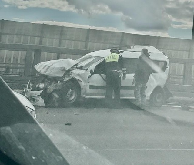 На дорогу смотрит иногда.