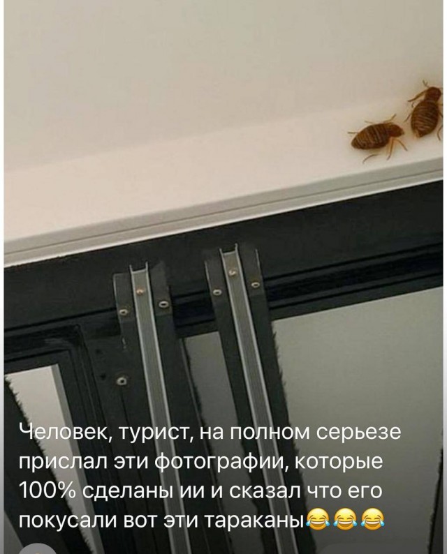 Ловко ты это придумал