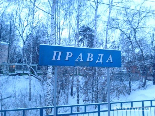 В чем сила брат?