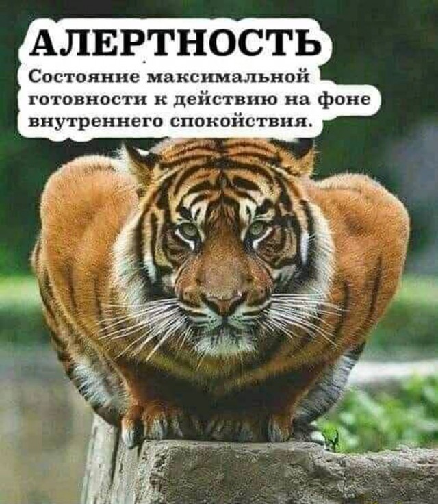 Прикольные и просто красивые картинки 24.10.2025