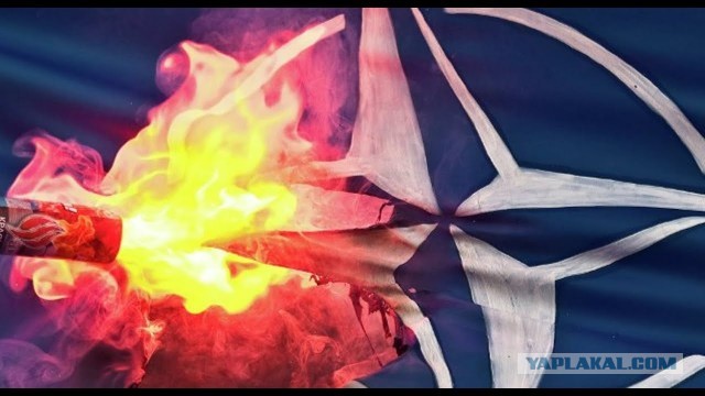 В Норвегии заявили о смерти НАТО из-за конфликта с Россией