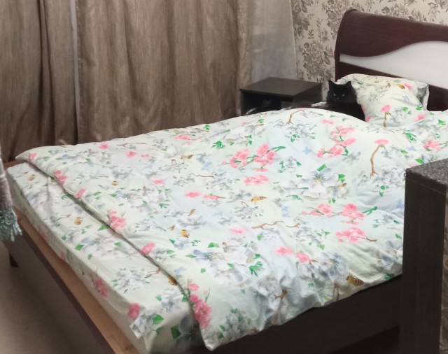 Нужен совет. Она каждый день лезет ко мне на кровать