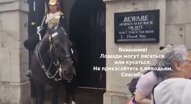 «Здравия желаю, товарищ девочка!»