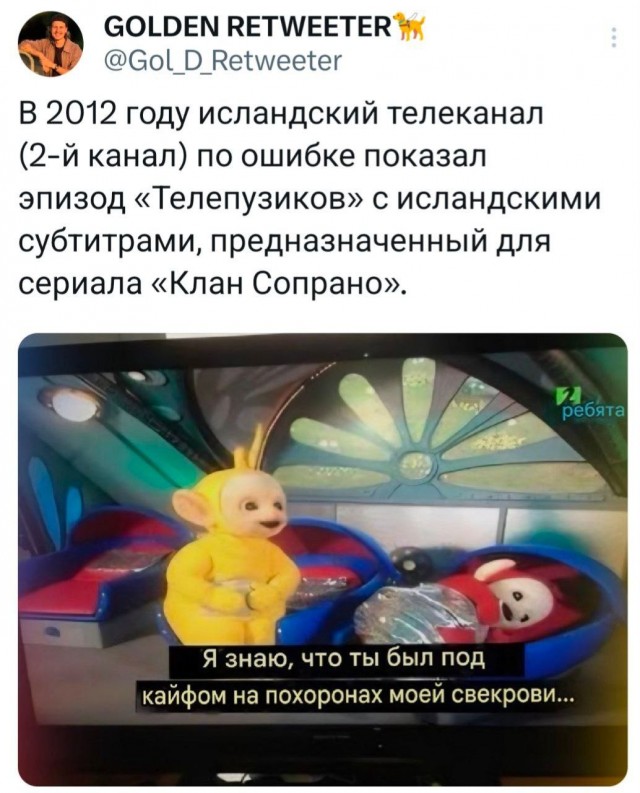 Потная гамсахурдия №2 - веселые картинки