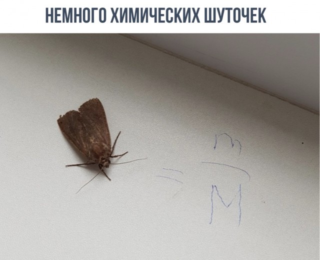 Картиночки, баянчики 13 апреля