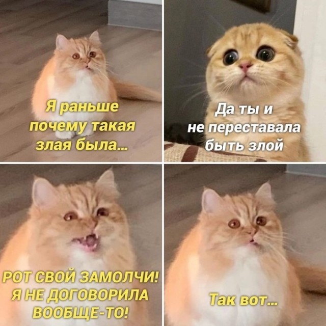 Веселые картинки в пятницу (03.07)
