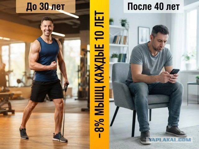 Врачи открыли «орган долголетия» в нашем теле. Большинство людей его теряют после 30