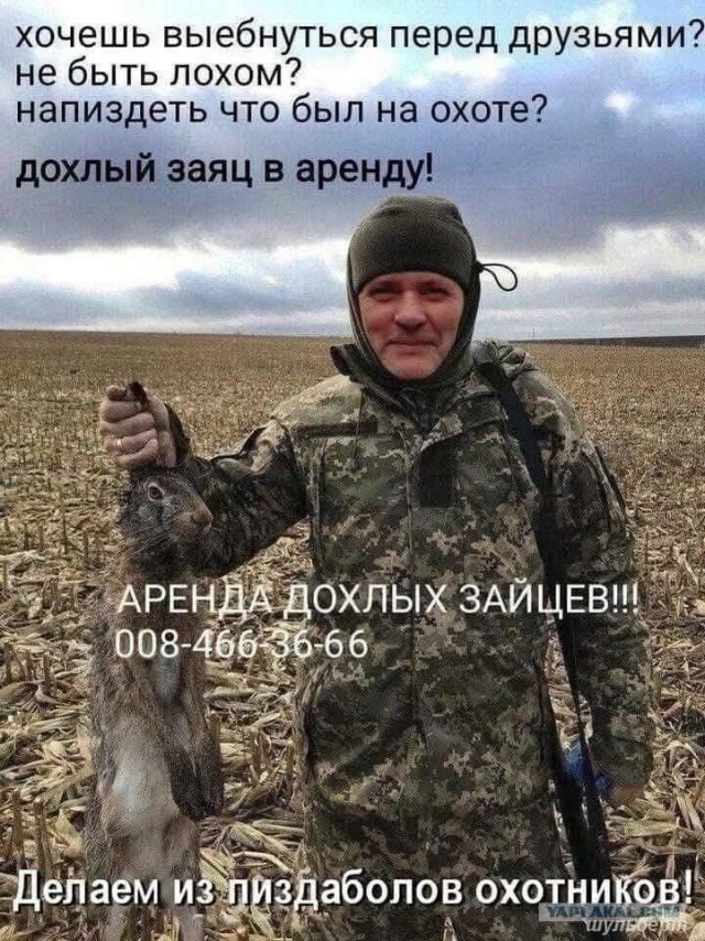 Картинки для деградации 251 (разной степени свежести)