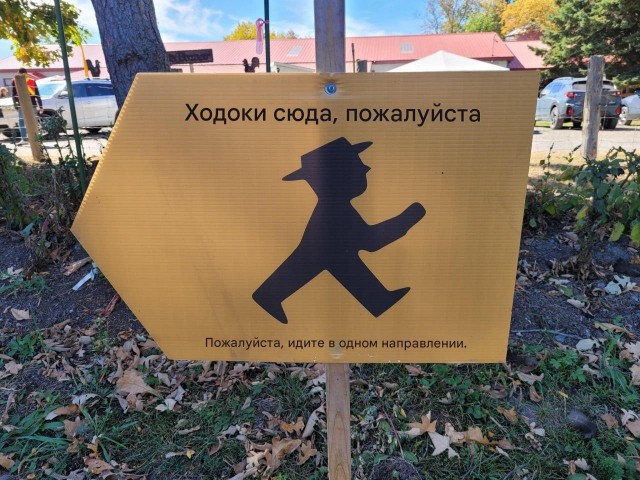 не нашла куда