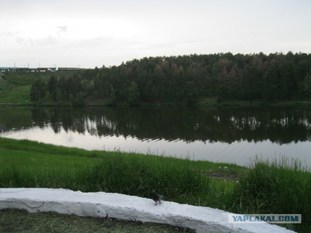 Ремонт в комнате 21 кв. м.