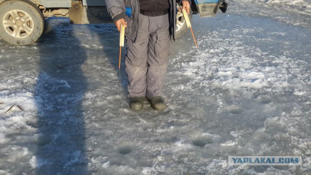 На рыбалку в понедельник..