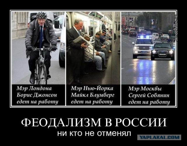 9 картинок из параллельной вселенной