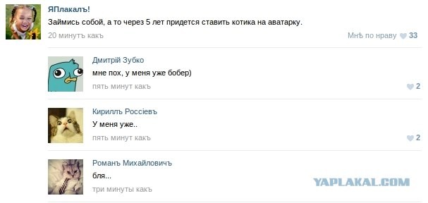 Котики на аватарке