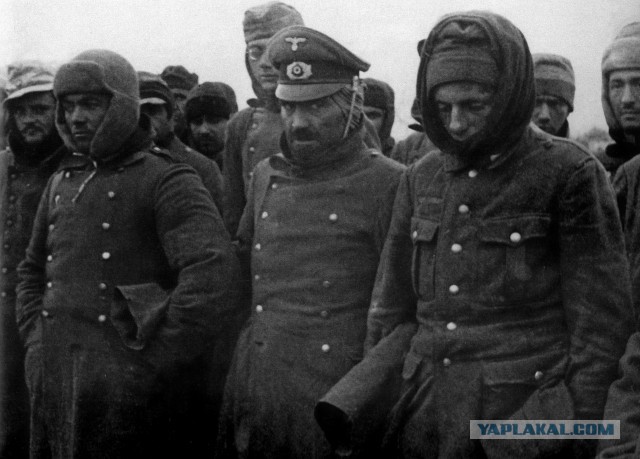 1-я Горно-стрелковая дивизия вермахта "Эдельвейс"