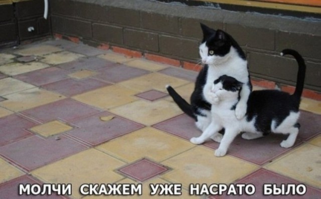 Подборка интересных и веселых картинок