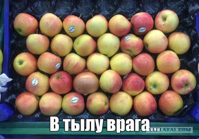 Подборка прикольных и веселых картинок