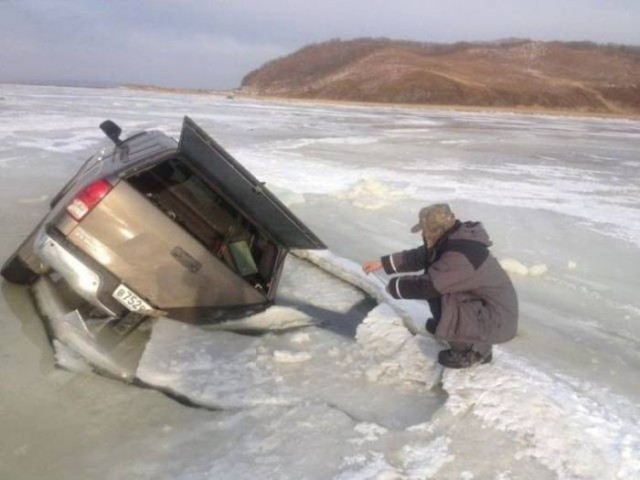 Подборка безудержного веселья