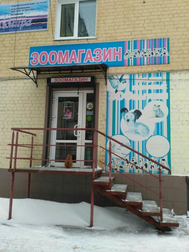 Прикольных котов пост