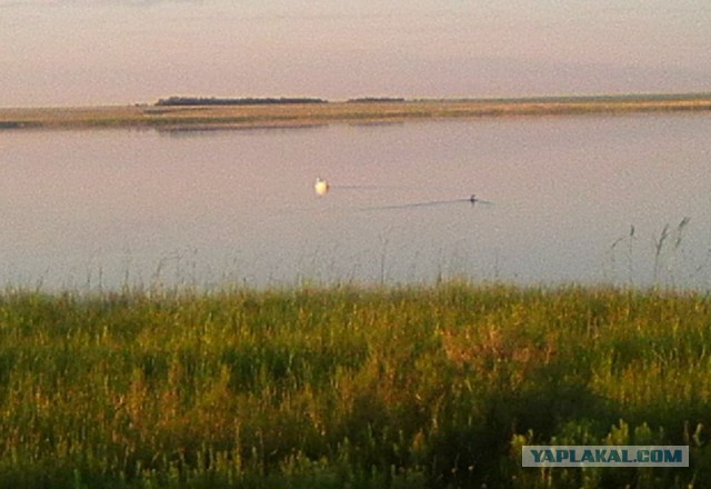 Командировка. В леса