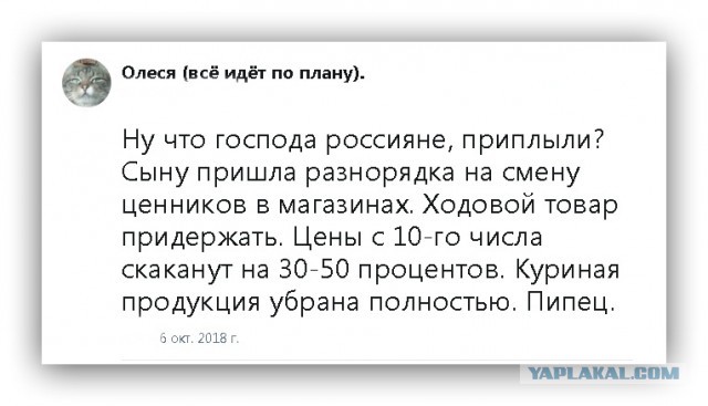 50 рублей за литр. В Петербурге разморозили цену на топливо, будет расти и дальше