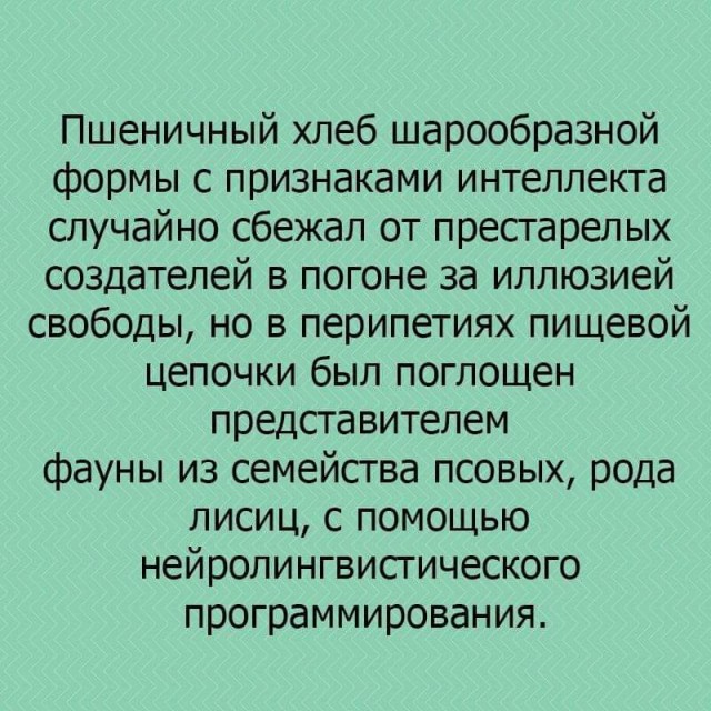 Немного юмора, умного