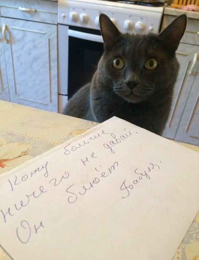 Немного милоты