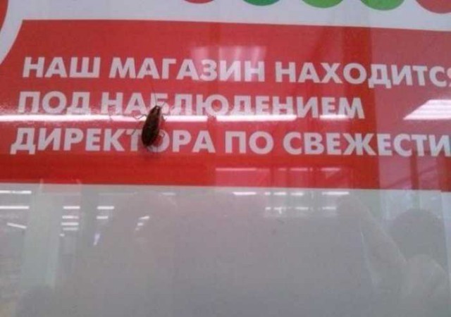 75 убийственных объявлений и надписей, мимо которых Вам не пройти
