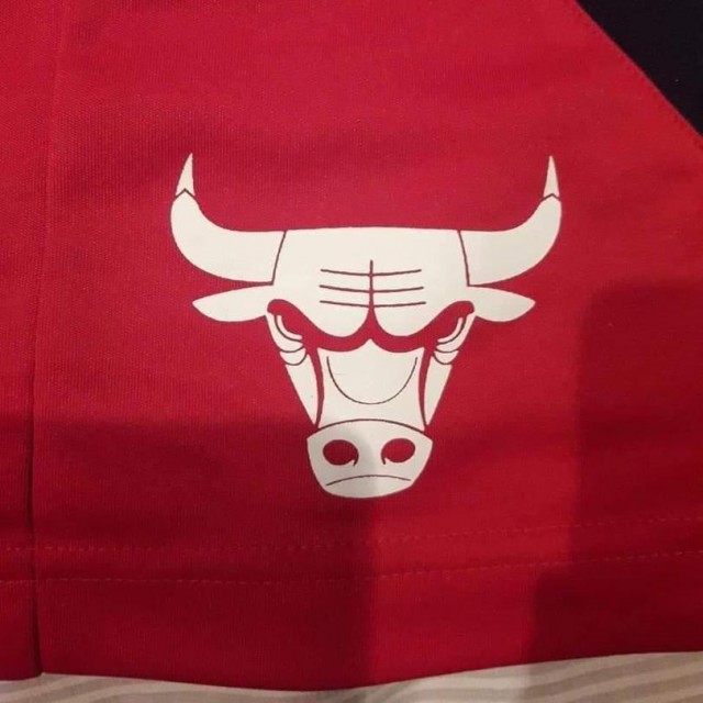 А вы никогда не пробовали перевернуть эмблему Chicago Bulls и внимательно посмотреть?